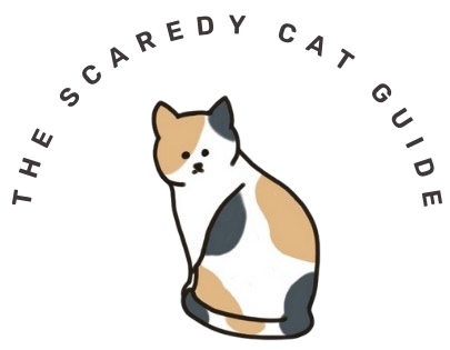 FAQ – Scaredy Cat Studio