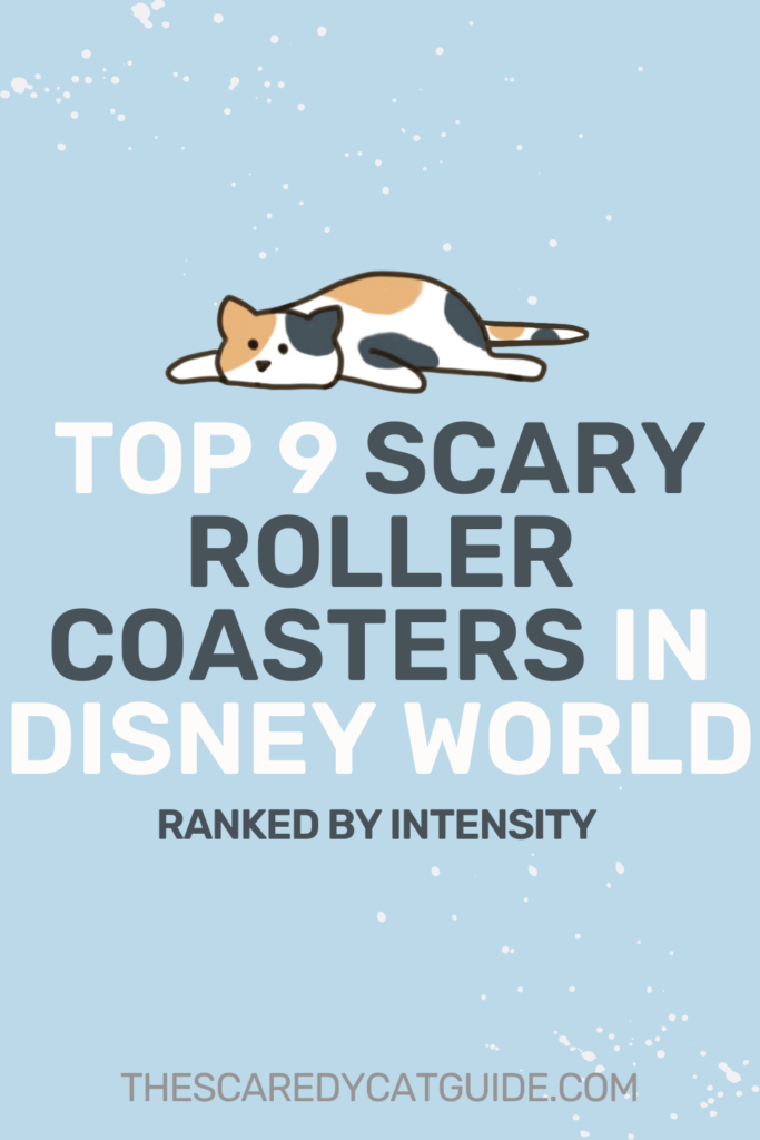 Top 9 Scary Roller Coasters in Disney World